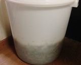 春☆野草の酵素ジュース　２０１４年作り方32写真