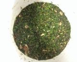 春☆野草の酵素ジュース　２０１４年作り方34写真