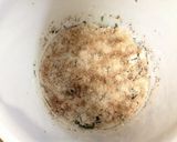 春☆野草の酵素ジュース　２０１４年作り方33写真