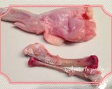 簡単！揚げない＊野菜だけで手羽餃子作り方1写真