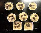 HM☆チョコバナナマフィン（ノンオイル）作り方4写真
