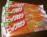 駄菓子で簡単! ビッグカツ丼作り方3写真