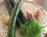 きゅうりと香味野菜の浅漬け作り方6写真