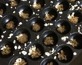 カリふわ☆塩で美味しいたこ焼き作り方2写真