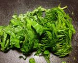 春☆野草の酵素ジュース　２０１４年作り方15写真