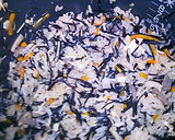 鉄分とれる◇ひじき炊き込みご飯◇作り方6写真