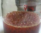 簡単!イクラの醤油漬け作り方8写真