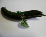 干しきゅうりと塩昆布の即席漬け作り方6写真