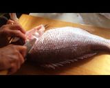 鯛のさばき方〜下処理偏〜作り方8写真