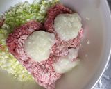 ☆調味料は一つだけ★塩餃子☆作り方3写真