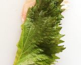大量消費★豚肉のシソ巻き作り方1写真