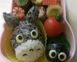 幼稚園お弁当*トトロ*キャラ弁no. 2作り方7写真