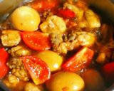 鶏とトマトのさっぱり煮作り方3写真