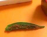 梅肉オクラの大葉包み天ぷら☆作り方2写真