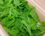 超簡単!ルクエで5分!水菜と豚肉蒸し作り方1写真