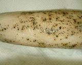 鶏ムネ肉のハム作り方8写真