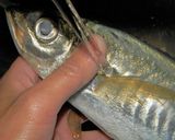 アジのハーブムニエル作り方1写真