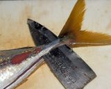 アジのハーブムニエル作り方13写真