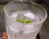 ＊塩レモン＊モロッコの万能☆発酵調味料作り方12写真