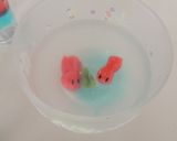 涼しげでかわいすぎる、金魚鉢の寒天ゼリー作り方13写真