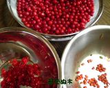 ゆすら梅のジュース作り方1写真