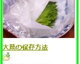 大葉の保存方法作り方5写真