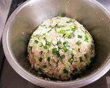 おからde餃子☆作り方3写真