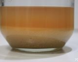 節約おから粉味噌1:4:20作り方13写真