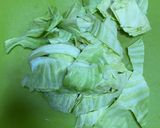 味噌汁　ねぎとキャベツとちくわぶ作り方1写真