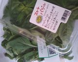 キヌアサラダ　Erika's Salad作り方6写真