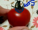 トマトジャム作り方1写真