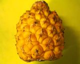 パインで美味しい♪キュウリのピクルス作り方6写真