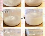 ヨーグルティアで天然酵母元種作り。作り方9写真