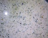 ホワイトソース＊鮭ムニエル＊作り方4写真