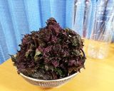 しそジュース作り方1写真