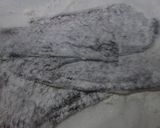 鯛の皮と胡瓜の酢の物作り方2写真