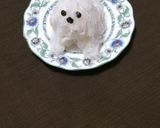 千切り大根マルチーズ作り方1写真