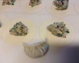 寒い日も暑い日も水餃子作り方6写真