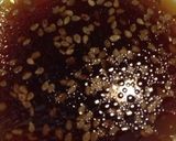 韓国風♪超簡単サラダドレッシング作り方2写真