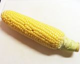 簡単☆とうもろこしはレンジでチン作り方1写真