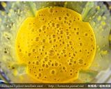 黑木耳奶香南瓜汁.柯媽媽の植物燕窩作り方5写真