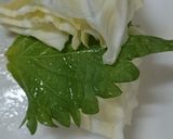 しその葉入り＊千切りキャベツ作り方2写真