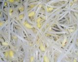 香味ペースト！違いがわかるもやしナムルだ作り方4写真