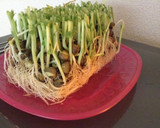 豆苗とあぶらあげ炒め作り方4写真
