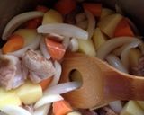 塩レモンdeサッパリ肉じゃが作り方3写真