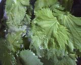子供もOK！しそ巻き（しそ味噌）作り方1写真