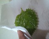 子供もOK！しそ巻き（しそ味噌）作り方2写真