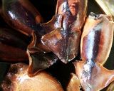 イカめし作り方7写真