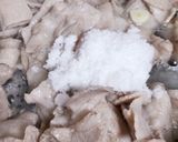 母の味♪豚バラすき焼き甘辛スタミナ豚丼作り方3写真