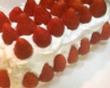 糖質制限！大豆粉でフルーツロールケーキ作り方18写真